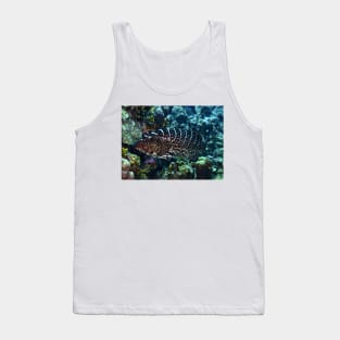 Nassau Grouper Tank Top